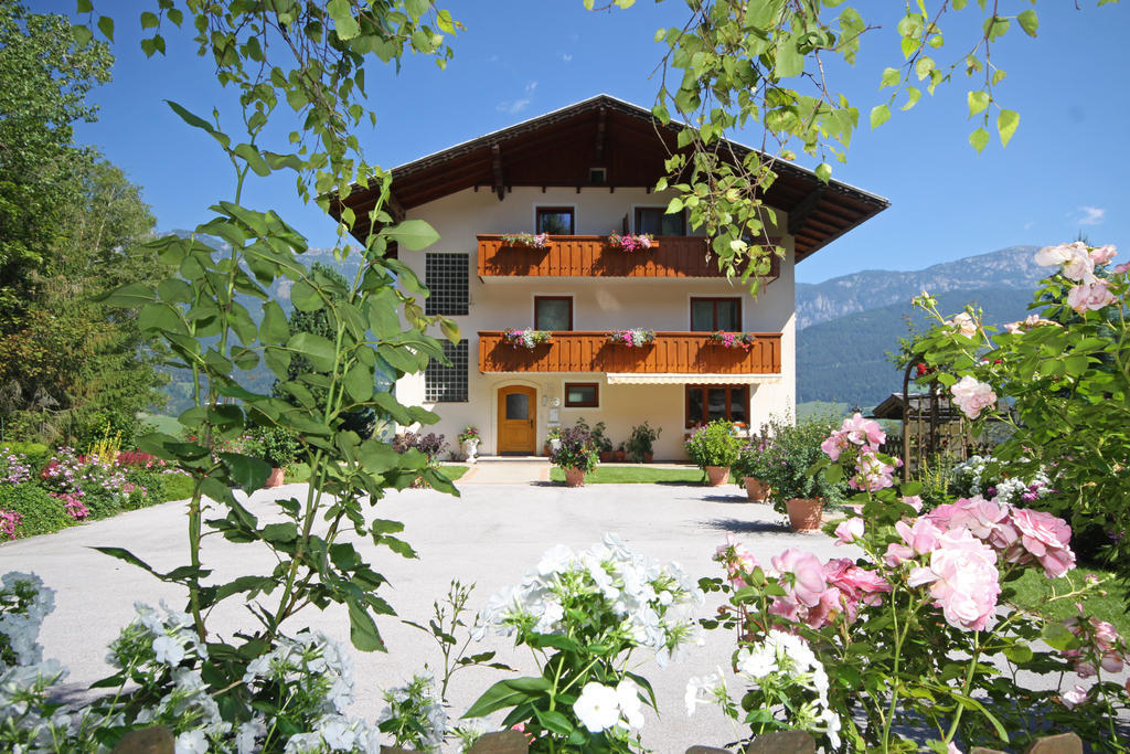 Hotel Rosspointnerhof à Haus im Ennstal Extérieur photo
