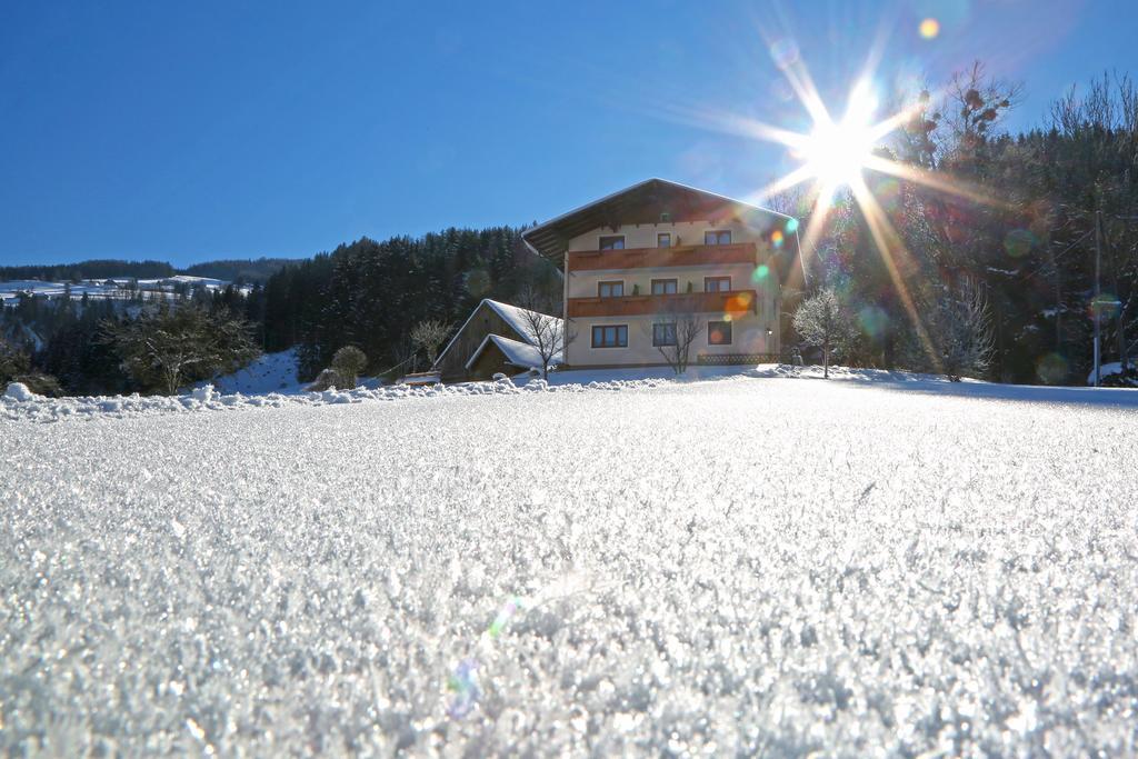 Hotel Rosspointnerhof à Haus im Ennstal Extérieur photo